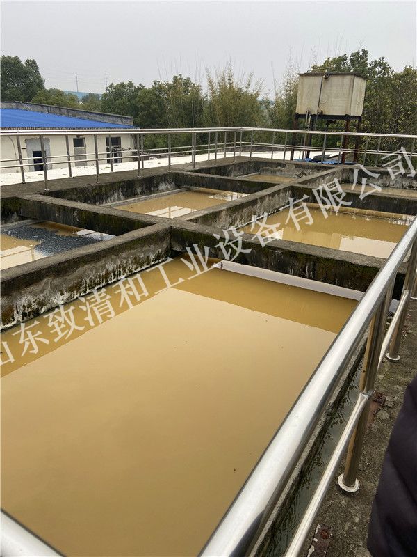 6138572e791b8.jpg!600X